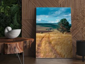 Panoramic landscape of central Russia agricultural countryside with hills and country road. Summer landscape of the Samara valleys. Russian countryside. High resolution file for large format printing.