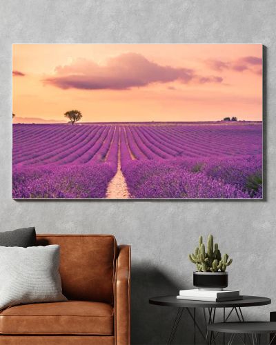 Wonderful nature landscape, amazing sunset scenery with blooming lavender flowers. Moody sky, pastel colors on bright landscape view. Floral panoramic meadow nature in lines with trees and horizon