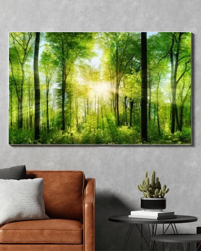 Forest panorama with rays of sunlight