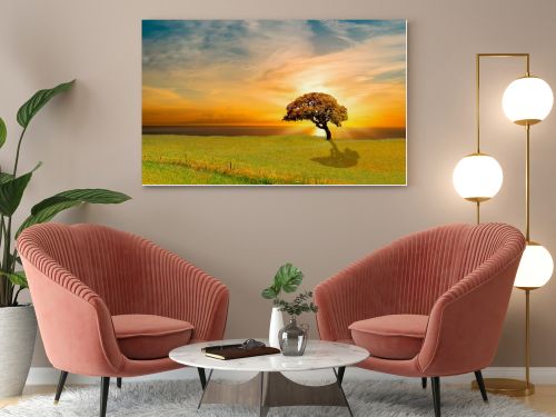 tree at sunset