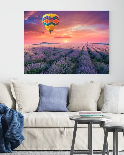 Lavender field summer sunset landscape near Valensole.Provence,France