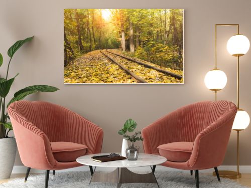 railroad in autumn forest