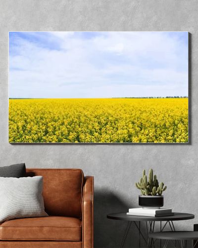 panoramic concept of yellow and blooming wildflowers against sky with clouds 