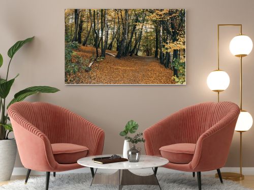 Fallen leaves on pathway in autumn forest