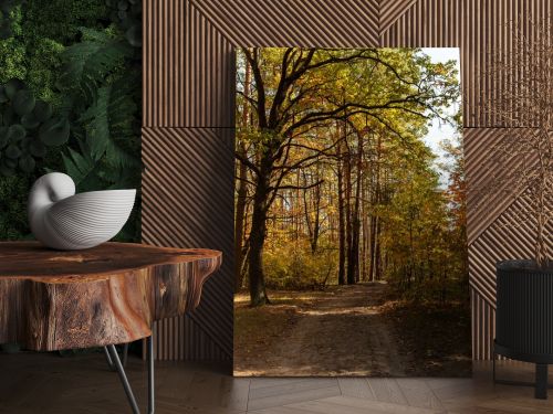 scenic autumnal forest with wooden trunks and path in sunlight