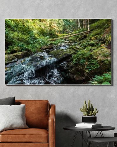 panoramic shot of flowing river near stones in woods