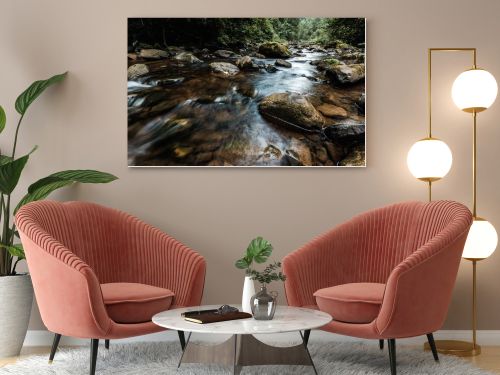selective focus of flowing stream near wet rocks with green mold 