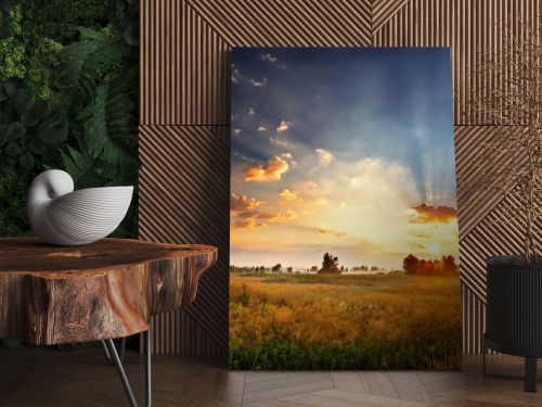 Dawn in a field