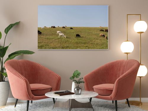 green meadow with grazing herd under blue cloudless sky