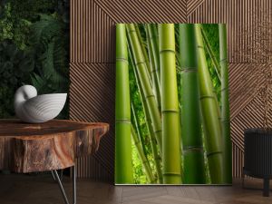 Gęsta bambusowa dżungla