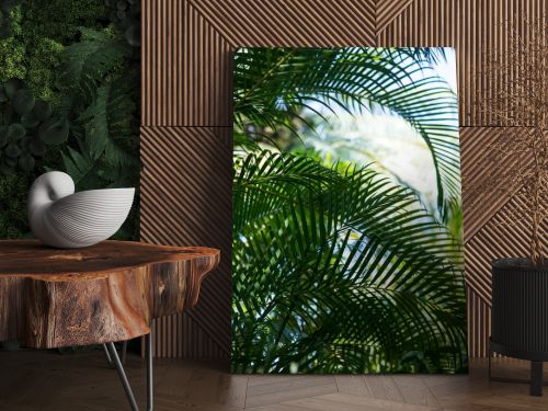 palm branches