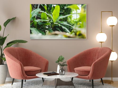 beautiful tropical rainforest greenhouse with various plants and window on background