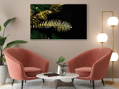 Monstera and fern leaves isolated on black