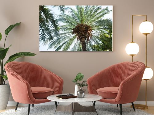 bottom view of palms under clear sky