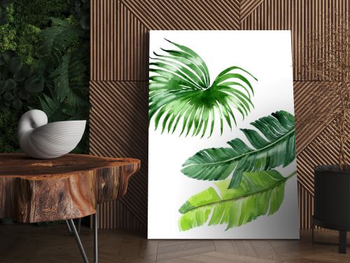 Exotic tropical hawaiian palm tree leaves isolated on white. Watercolor background illustration set. 