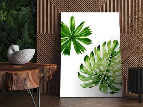 Palm beach tree leaves jungle botanical. Watercolor background illustration set. Isolated leaf illustration element.