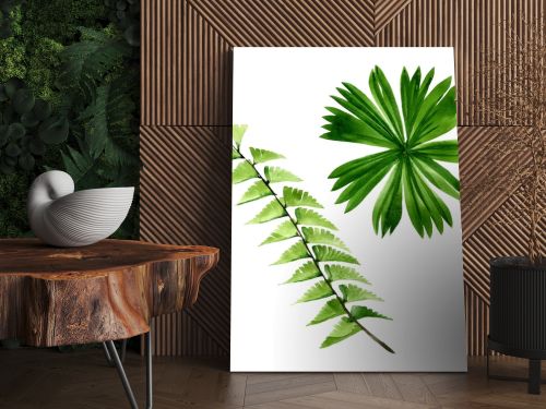 Palm beach tree leaves jungle botanical. Watercolor background illustration set. Isolated leaf illustration element.