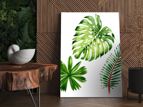 Palm beach tree leaves jungle botanical. Watercolor background illustration set. Isolated leaf illustration element.