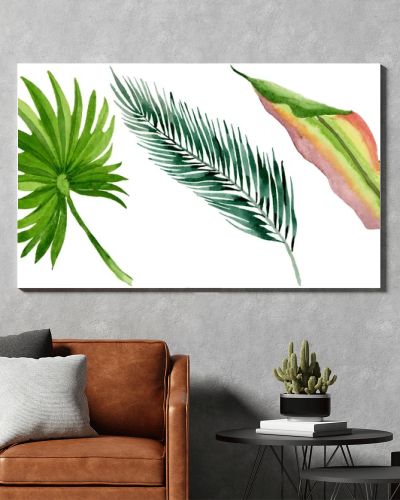 Palm beach tree leaves jungle botanical. Watercolor background illustration set. Isolated leaves illustration element.