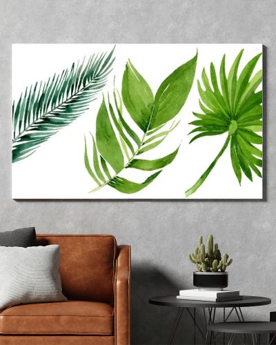 Palm beach tree leaves jungle botanical. Watercolor background illustration set. Isolated leaves illustration element.