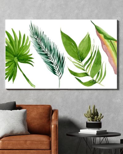 Palm beach tree leaves jungle botanical. Watercolor background illustration set. Isolated leaves illustration element.