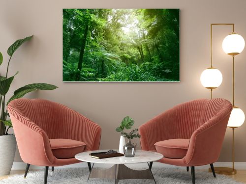 Tree canopy in tropical jungle 