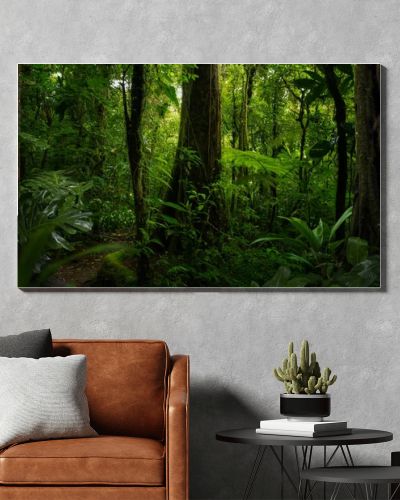 Tropical forest with a tree on the background of a forest 