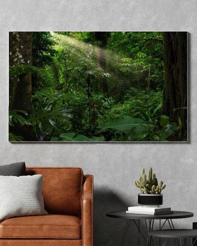 Tropical forest with a tree on the background of a forest 