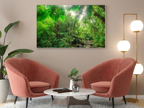 Thick vegetation in Basse Terre jungle in Guadeloupe. Lesser Antilles, Caribbean