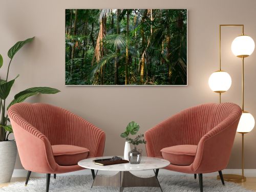 sun in the jungle. High quality photo