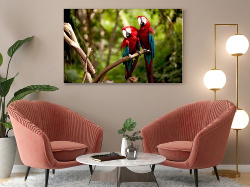 Colorful scarlet macaw perched on a branch