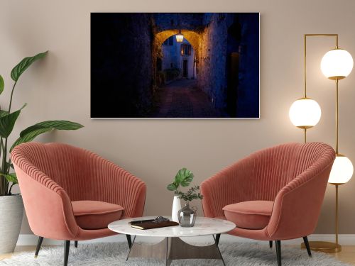 The landscape of Saint-Saphorin at night. The village located in the Swiss canton of Vaud, on the shore of Lake Geneva (Lac Leman), in the district of Lavaux-Oron.