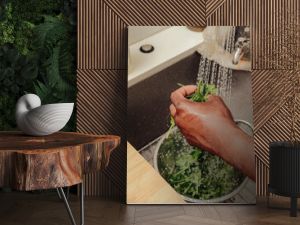 Herbs being washed in a sink