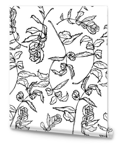 rowan floral seamless pattern Leaves contours isolated on white background hand-drawn. Vector illustration