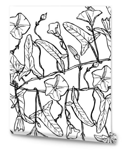 branch with leaves buds and flowers bindweed floral seamless pattern Leaves contours isolated on white background hand-drawn. Vector illustration