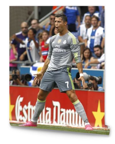 Cristiano Ronaldo of Real Madrid