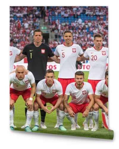 Poznan, Poland. 8th June, 2018. International Football friendly match: Poland v Chile 2:2. Team of Poland before the match .