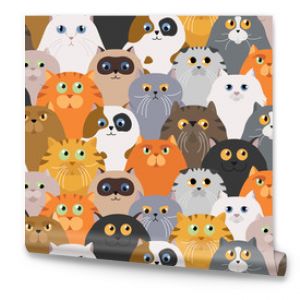 Plakat z kotem Postacie z kreskówek kotów bez szwu Zestaw różnych pozycji kotów i emocji Płaski kolor prosty styl