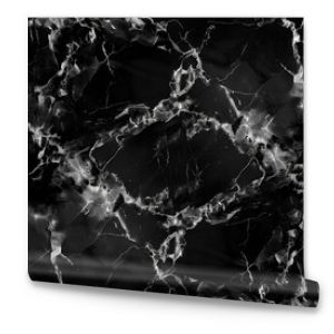 Black marble tiles in a seamless pattern offer a modern, minimalist look.