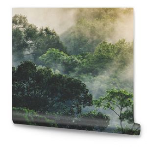 panorama banner background of tropical forest landscape scene for using in concept of environmental ecology and sustainable energy or Earth day, wild wood scenic using for wallpaper of spa and tourism