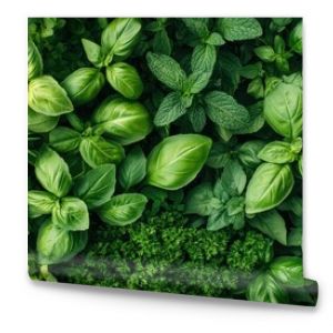 Lush Green Herbs - Basil, Mint, Rosemary, Parsley Texture Background.