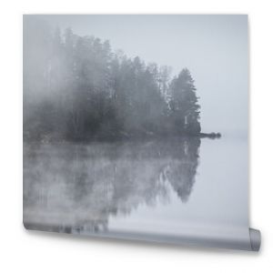 Mystischer Nebel vor einer Insel in einem See mit vielen dunklen Bäumen