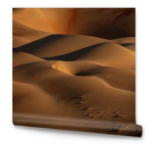 Closeup photo of desert digital wallpaper