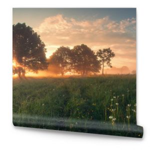 Colorful spring sunrise on meadow