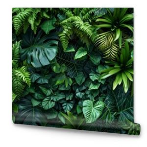 Dark green plants growing in a lush foliage background of tropical leaves like anthurium, epiphytes, or ferns, forming a beautiful green plant wall design in a cloud forest.