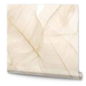 neutral color aesthetic photo with veins of leaf, Nature abstract of flower petals