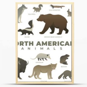Zestaw zwierząt Ameryki Północnej W tym żubr niedźwiedź polarny grizzly jaguar aligator łoś szop Ilustracja wektorowa dzikiej przyrody Wil