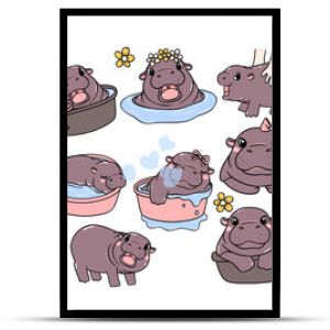 cute baby pygmy hippo bouncy pig cartoon character collection