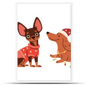 A set of vector illustrations in children's style on Christmas theme. Cute dogs in warm sweaters and scarves, Santa Claus hat and Christmas garland. Dachshund Pug Spitz Poodle Spaniel Chihuahua