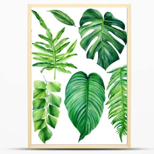 Collection of tropical leaves. watercolor isolated elements on a white background. Palm leaf